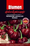 Blumen Peperone Jamaican Rosso, extrm csps jamaikai vrs pepperni chili paprika vetmag