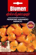 Blumen Peperone Habanero Arancio, extrm csps narancs habanero chili paprika vetmag