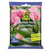 Compo orchidea pol kend 10 db