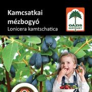 Ozis kamcsatkai mzbogy - Lonicera kamtschatica 