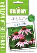 Blumen Echinacea - gygyt hats