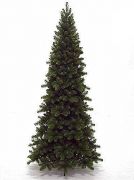 Triumph Tree Pencil pine x-mas tree leth mfeny 185 cm magas
