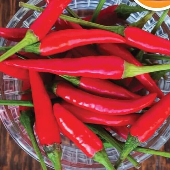 Paprika s chili palntk