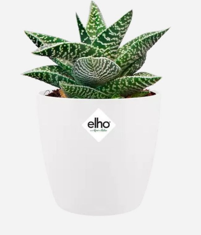 Elho Brussels Round Mini 12,5 cm White, manyag kasp