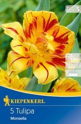 Kiepenkerl Tulipa Monsella korai teltvirg tulipn virghagymk (szllts 2024.09.01-09.15 kztt)