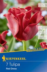Kiepenkerl Tulipa Red Dress korona tulipn virghagymk (szllts 2024.09.01-09.15 kztt)