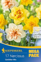 Kiepenkerl Narcissus Gefllter Narzissen Mix vegyes nrcisz virghagymk MEGA PACK (szllts 2024.09.01-09.15 kztt)