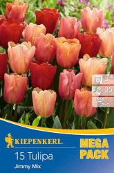 Kiepenkerl Tulipa Jimmy Mix Triumph tulipn virghagymk MEGA PACK (szllts 2024.09.01-09.15 kztt)