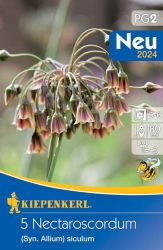 Kiepenkerl Nectaroscordum siculum Bolgr nektrhagyma virghagyma (szllts 2024.09.01-09.15 kztt)