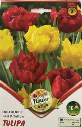  Tulipa Duo Double Red & Yellow teltvirg tulipn virghagymk 3’