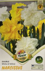  Narcissus Double White & Yellow nrcisz virghagymk 2’