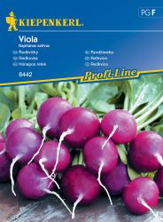 Kiepenkerl Viola hnapos retek vetmag F’