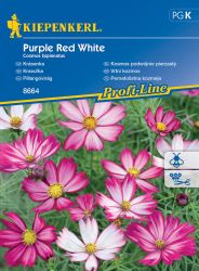 Kiepenkerl Purple Red White pillangvirg vetmag K’