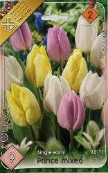  Tulipa Single early Prince mixed vegyes tulipn virghagymk 2’
