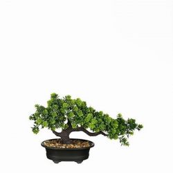 Mica Bonsai zld mnvny cserpben 33 x 13 x 21 cm