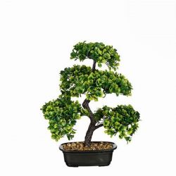 Mica Bonsai zld mnvny cserpben 30 x 30 x 38 cm