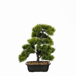 Mica Bonsai zld mnvny cserpben 27 x 27 x 33 cm