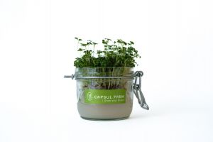  Capsul farm mikrozld szett, brokkoli
