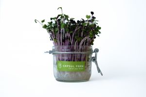  Capsul farm mikrozld szett, retek