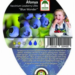 Ozis Balkon fonya  Vaccinium LL Blue Wonder