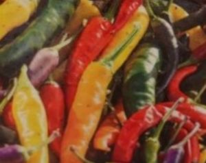 Ozis Cayenne chili paprika mix vegyes terms palnta 10,5/12 cm-es cserpben