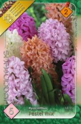  Hyacinthus Pastel mix vegyes jcint virghagymk 1’