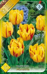  Double Early Monsella teltvirg tulipn virghagymk 3’