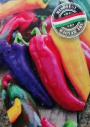  Marconi paprika palnta 12 cm-es cserpben