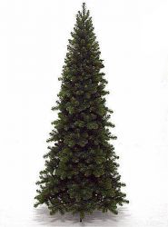 Triumph Tree Pencil pine x-mas tree leth mfeny 185 cm magas