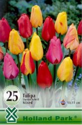  Tulipa Darwin Hybrid Mixed vegyes virghagymk "ris csomag"