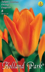  Tulipa Fosteriana Orange Emperor Fosteriana tulipn virghagymk 2’