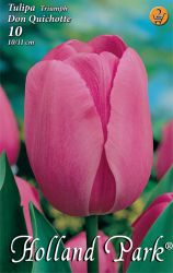  Tulipa Triumph Dynasty Triumph tulipn virghagymk 2’