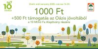  10 milli ft Magyarorszgra