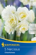 Kiepenkerl Narcissus Cheerfulness teltvirg nrcisz virghagymk (szllts 2024.09.01-09.15 kztt)
