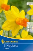 Kiepenkerl Narcissus cyclamineus Jetfire botanikai nrcisz virghagymk (szllts 2024.09.01-09.15 kztt)