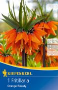 Kiepenkerl Fritillaria Imperialis Orange Beauty csszrkorona virghagyma (szllts 2024.09.01-09.15 kztt)