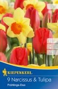 Kiepenkerl Narcissus & Tulipa Frhlings-Duo nrcisz s tulipn virghagymk (szllts 2024.09.01-09.15 kztt)