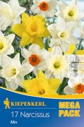 Kiepenkerl Narcissus Grokroniger Narzissen Mix vegyes nrcisz virghagymk MEGA PACK (szllts 2024.09.01-09.15 kztt)