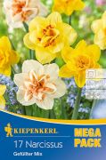Kiepenkerl Narcissus Gefllter Narzissen Mix vegyes nrcisz virghagymk MEGA PACK (szllts 2024.09.01-09.15 kztt)
