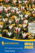 Kiepenkerl Tulipa/Crocus Freaky Spring virghagyma sszellts MEGA PACK (szllts 2024.09.01-09.15 kztt)