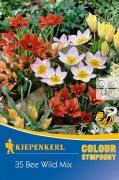 Kiepenkerl Colour Symphony Bee Wild Mix virghagyma sszellts (szllts 2024.09.01-09.15 kztt)