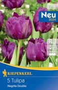 Kiepenkerl Ksei teltvirg tulipn virghagyma Negrita Double (szllts 2024.09.01-09.15 kztt)