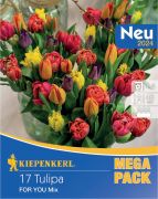 Kiepenkerl Mega-Pack Tulipn virghagyma For You Mix (szllts 2024.09.01-09.15 kztt)