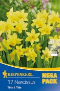 Kiepenkerl Narcissus Tete a Tete botanikai nrcisz virghagymk MEGA PACK (szllts 2024.09.01-09.15 kztt)