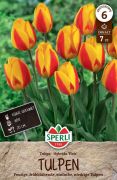 Sperli Einfache Frhe Tulpe Flair tulipn virghagyma (szllts 2024.09.01-09.15 kztt)
