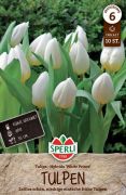 Sperli Einfache Frhe Tulpe White Prince tulipn virghagyma (szllts 2024.09.01-09.15 kztt)