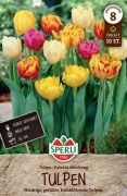 Sperli Gefllte Frhe Tulpen Mischung tulipn virghagyma (szllts 2024.09.01-09.15 kztt)