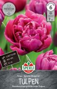 Sperli Premium Gefllte Frhe Tulpe Margarita tulipn virghagyma (szllts 2024.09.01-09.15 kztt)