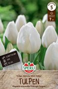 Sperli Premium Triumph-Tulpe Silver Dollar tulipn virghagyma (szllts 2024.09.01-09.15 kztt)