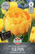 Sperli Premium Gefllte Spte Tulpe Yellow Pompenette tulipn virghagyma (szllts 2024.09.01-09.15 kztt)